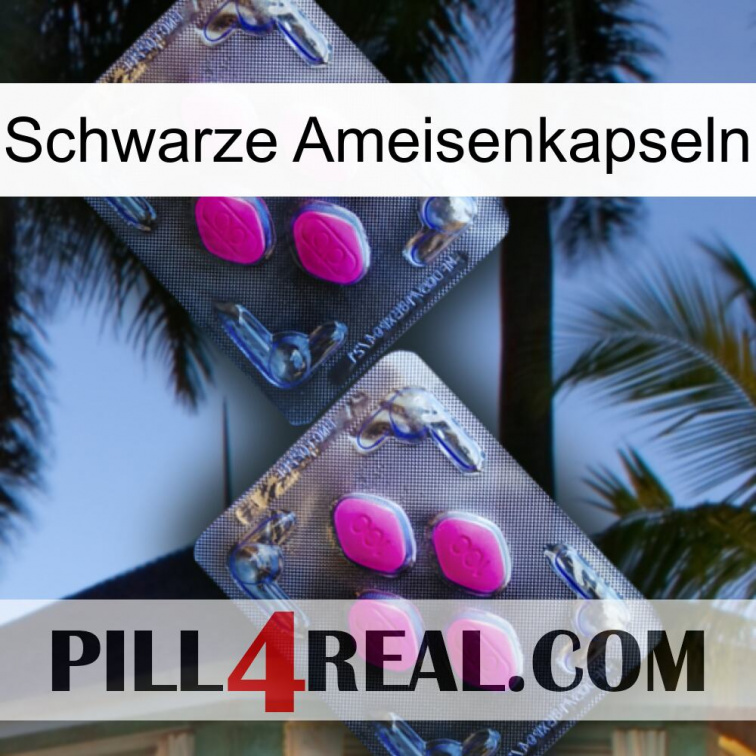 Black Ant Capsules 01